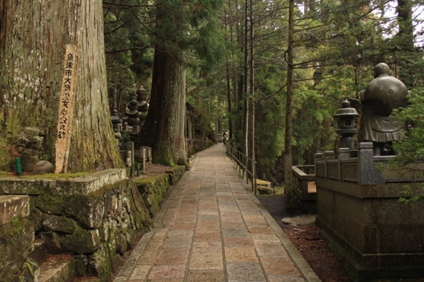 「高野山おでかけきっぷ」の発売期間