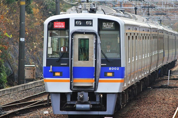 南海電車「和歌山観光きっぷ」は電車往復とバス乗り放題