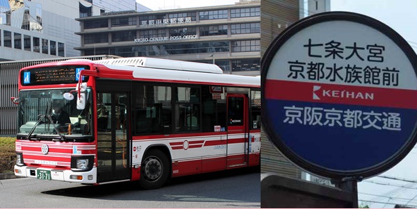 京阪バス「京都水族館セット乗車券」のメリットはアクセスのバスが実質無料