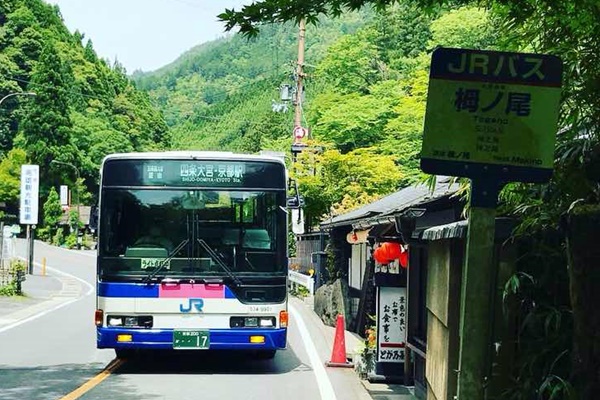 高雄・栂ノ尾・槇尾へのアクセス方法（路線バス）