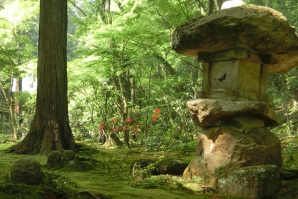 京都「大原」への行き方（アクセス）と観光にお得な切符