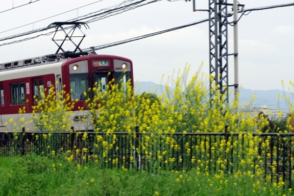 1日乗車券「奈良･斑鳩１dayチケット」はどれくらいお得なのか？