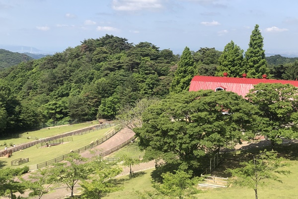 ケーブルカー、ロープウェイ割引切符「六甲・有馬片道乗車券」の値段、内容、発売期間、購入方法