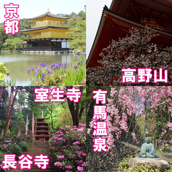 JR乗り放題「春の関西１デイパス」特典の南海、京阪、近鉄、神鉄の周遊チケット