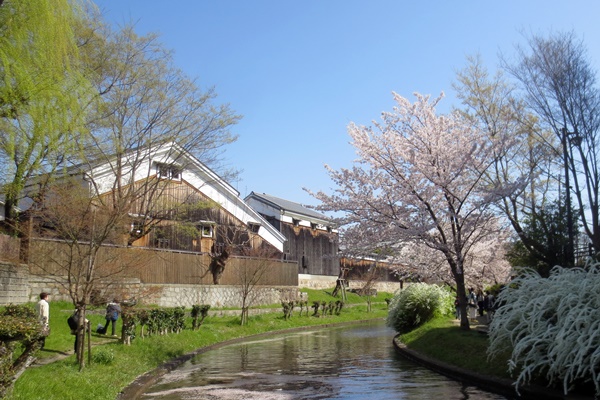 京都の宇治、伏見、石清水八幡宮への電車、バスのお得な乗り放題切符