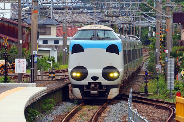 大阪、京都、神戸から南紀白浜へJR特急電車「くろしお」利用、日本旅行の激安日帰りプランとは？値段、発売期間、購入方法