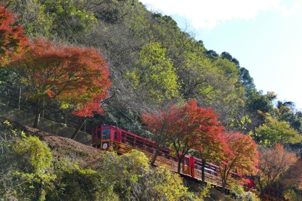 保津川下り、嵯峨野トロッコ列車に安く乗れる「亀岡周遊パス」の内容、値段、発売期間、購入方法