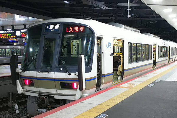 JR西日本「古都奈良デジタルパス」は2日乗り放題