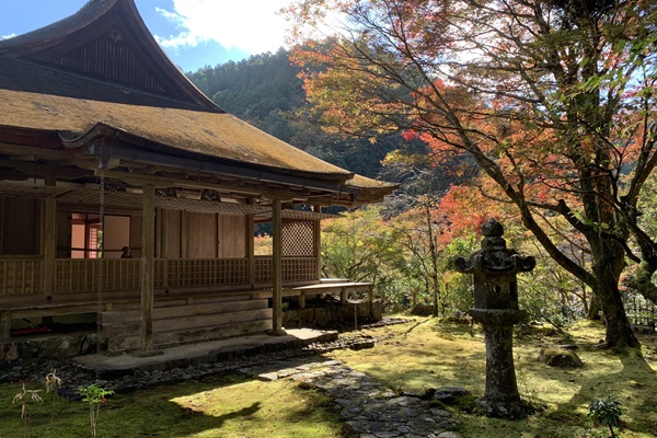 京都の高山寺石水院の拝観料と嵐電とJRバス乗り放題がセットの「鳥獣戯画きっぷ」