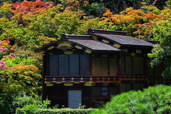 「KOBE（神戸）観光の日」に無料開放される施設