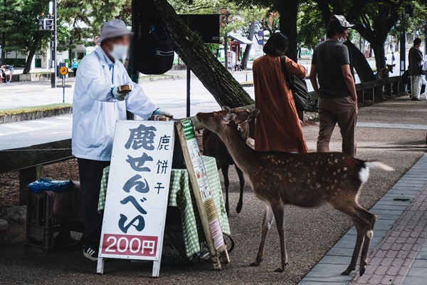 近鉄「奈良往復デジタルきっぷ」の値段、割引率