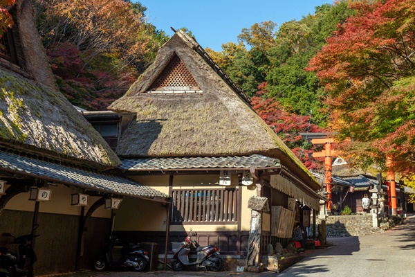 京都バス1日乗車券「嵐山・嵯峨野フリーきっぷ」の発売場所、購入方法