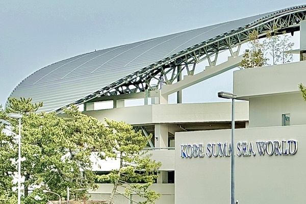 山陽電車アクセス・入館つき「神戸須磨シーワールドきっぷ」の内容、値段、発売期間、購入方法