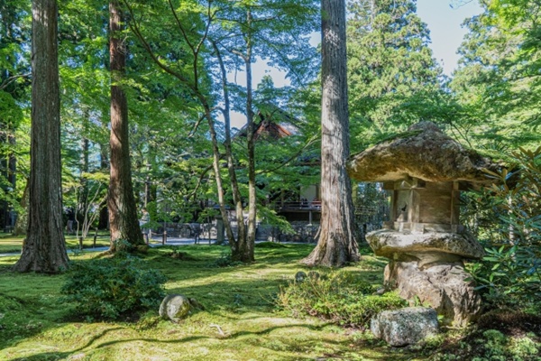 叡山電車・京都バス「京都洛北・森と水のきっぷ」の内容、値段、発売期間、購入方法