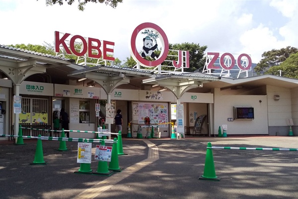 「王子動物園×阪急神戸線1dayパス」の内容、値段、発売期間、購入方法