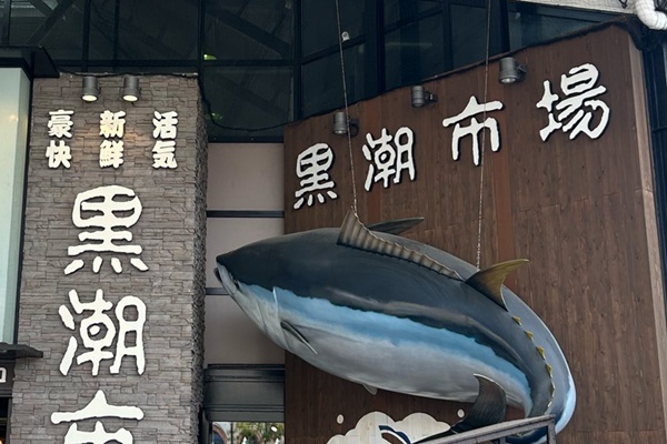 JR西日本、南海電車乗り放題「和歌山2wayパス」の値段