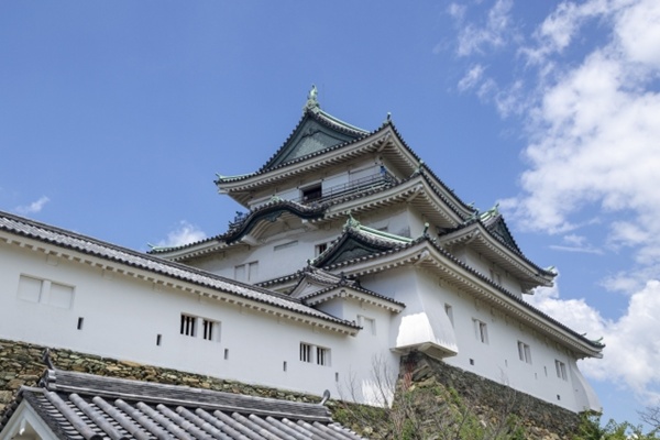 JR乗り放題、和歌山市内観光「和歌山市って何?周遊パス」の値段、発売期間、購入方法